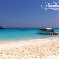 фото из отзыва ID 907868