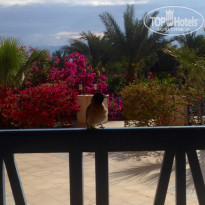 фото из отзыва ID 907928