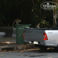 фото из отзыва ID 907954