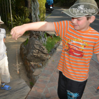 фото из отзыва ID 907954