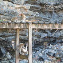 фото из отзыва ID 907979