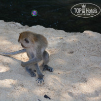 фото из отзыва ID 907979