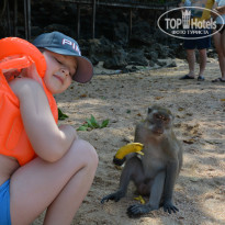 фото из отзыва ID 907979