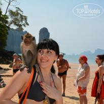 фото из отзыва ID 907979