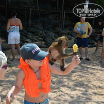 фото из отзыва ID 907979