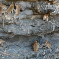 фото из отзыва ID 907979