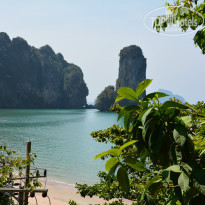 фото из отзыва ID 907979