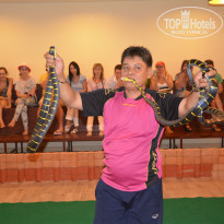 фото из отзыва ID 907979