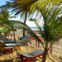 фото из отзыва ID 907094