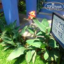 фото из отзыва ID 907094