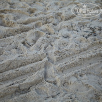 фото из отзыва ID 908032