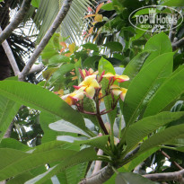 фото из отзыва ID 908000