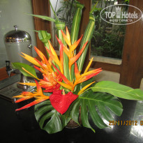 фото из отзыва ID 908122