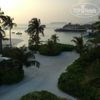 фото из отзыва ID 908313