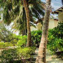 фото из отзыва ID 908313