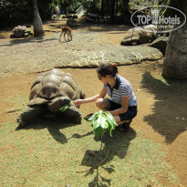 фото из отзыва ID 908453