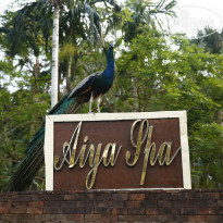 фото из отзыва ID 908517