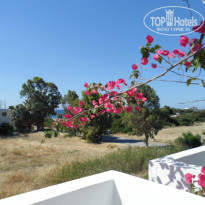 фото из отзыва ID 908747