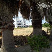 фото из отзыва ID 908747