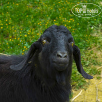 фото из отзыва ID 908437