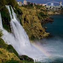 фото из отзыва ID 908437