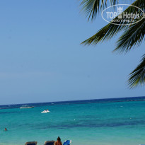 фото из отзыва ID 908809