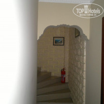 фото из отзыва ID 908813