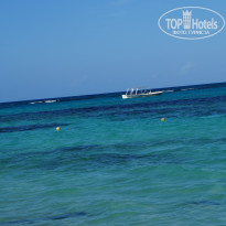 фото из отзыва ID 908934