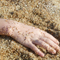 фото из отзыва ID 909200