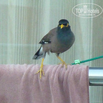 фото из отзыва ID 909200