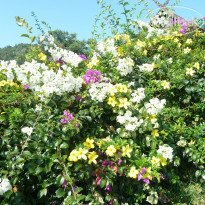 фото из отзыва ID 909200