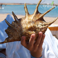 фото из отзыва ID 909473