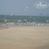 фото из отзыва ID 909545