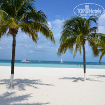 фото из отзыва ID 909688