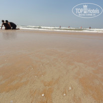 фото из отзыва ID 909741