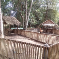 фото из отзыва ID 909908