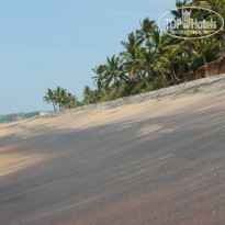 фото из отзыва ID 909938