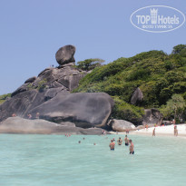 фото из отзыва ID 909966