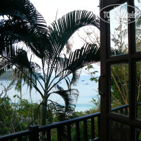 фото из отзыва ID 909227