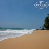 фото из отзыва ID 909075