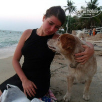 фото из отзыва ID 910219