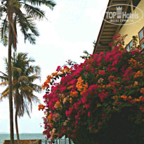 фото из отзыва ID 910219