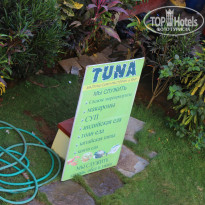 фото из отзыва ID 910258