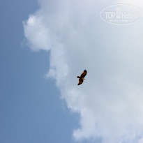 фото из отзыва ID 910258