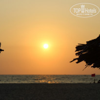 фото из отзыва ID 910258