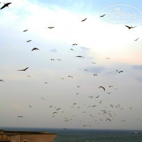 фото из отзыва ID 910273