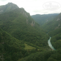 фото из отзыва ID 910336