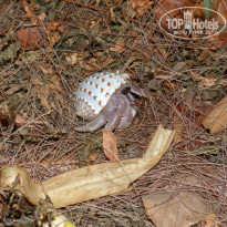 фото из отзыва ID 910425