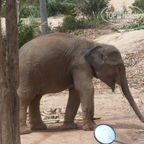 фото из отзыва ID 910425