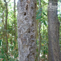 фото из отзыва ID 910425